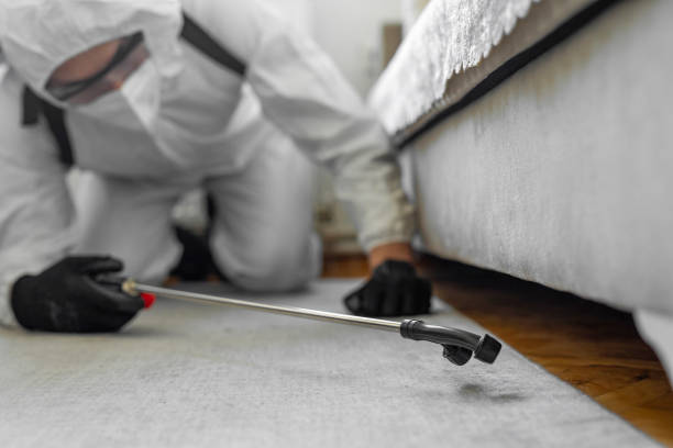 Professional Bed Bug Control technician working in Unionville, NC